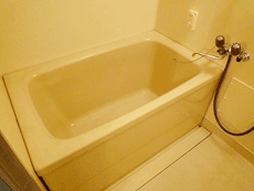 ���C���{�[21