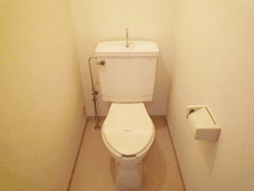 ���C���{�[21