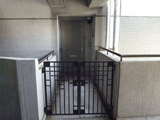 ���C���{�[21