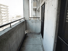 ���C���{�[21