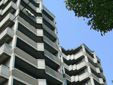 ���C���{�[21