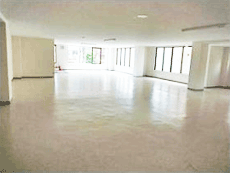 Rino�ʏo�r���Q�K�X��