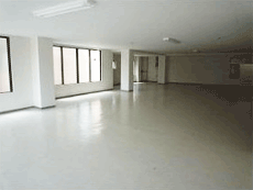 Rino�ʏo�r���Q�K�X��