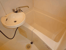 �T�N�Z�X����