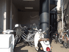 BLD������