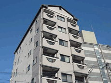 BLD������