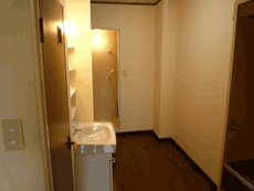 �p�[�N�V�e�B�[�}���V����