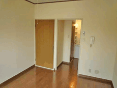 �p�[�N�V�e�B�[�}���V����