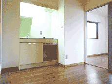 �G�N�Z�����V