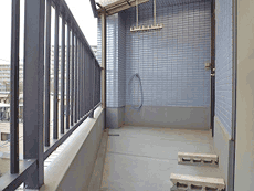 �����O���C�t�n�C�c