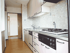 ���l�K�[�f���n�E�X