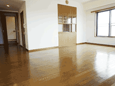 ���l�K�[�f���n�E�X