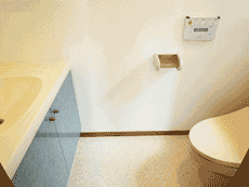 ���l�K�[�f���n�E�X