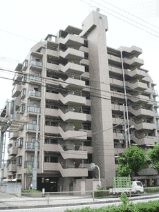 ���l�K�[�f���n�E�X