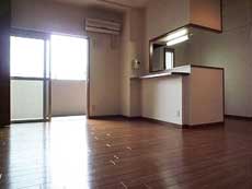 �s���A�t�@�[�X�g�ԉ�