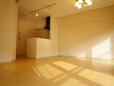 �p�e�B�I�k���ꉮ