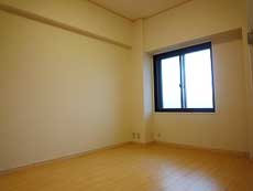 �p�e�B�I�k���ꉮ