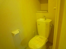 �T���V���C�����l