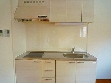 �T���V���C�����l