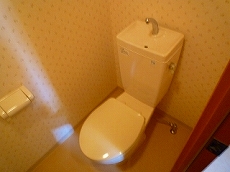 �O���[�X��ˎR