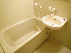 �G���Y�ݗ�