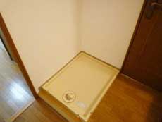 �G���Y�ݗ�