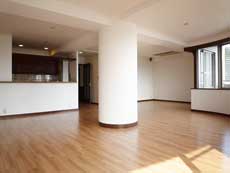 �v���~�V�X�ݗ�