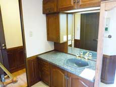 �v���~�V�X�ݗ�