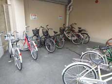 �����F�[���V������