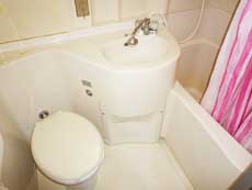 �C���u���n�C�c