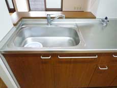 �V���[���]���h�D�[�f�B�A�X