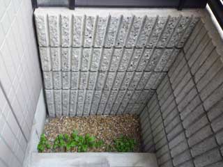 �V���[���]���h�D�[�f�B�A�X