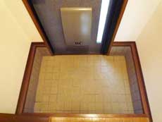 �V���[���]���h�D�[�f�B�A�X