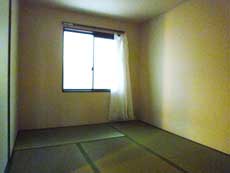 �V���[���]���h�D�[�f�B�A�X