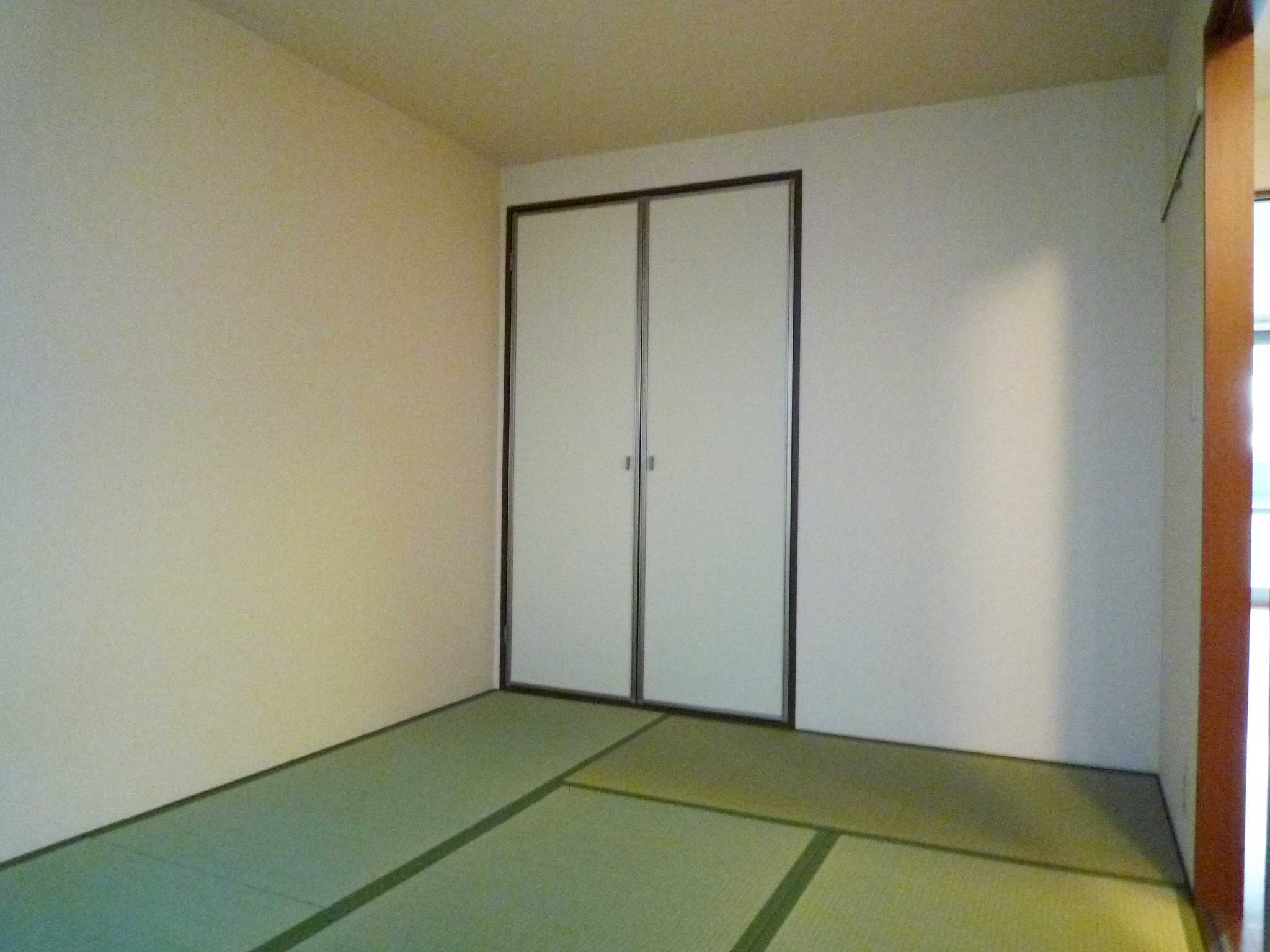 �V���[���]���h�D�[�f�B�A�X