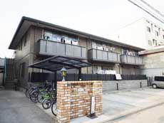 �V���[���]���h�D�[�f�B�A�X