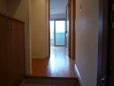 �V���[���]���ʏo��