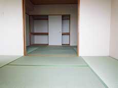 ���~�G�[���ԉ�