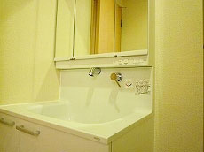 �T���Z���e�ԉ�