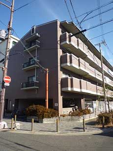 ���]�����i