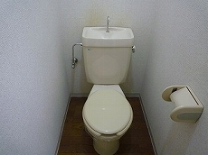 �p�[���V�e�B�}���V�����ʏo