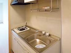 �V���[���]���ݗ�