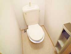 �V���[���]���ݗ�