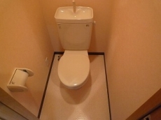 �r�W�^���ێR�ʇX