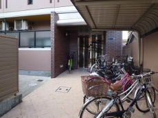 �r�W�^���ێR�ʇX