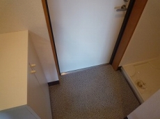 �r�W�^���ێR�ʇX