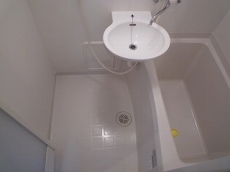 �r�W�^���ێR�ʇX