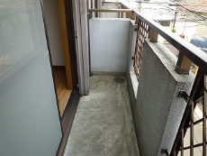 �V���������݉�