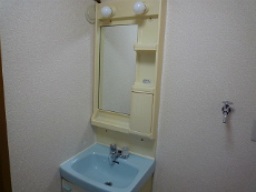 �V���������݉�