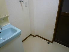 �V���������݉�